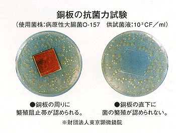 財団法人東京顕微鏡院による銅板の抗菌力試験